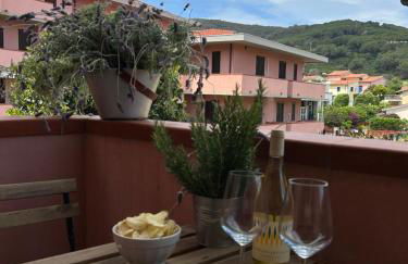 Agave Marina - Foto 6