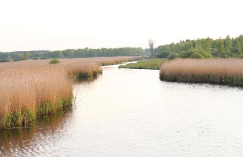 Marktplatz 14 Penthouse Apartments Bad Buchau - Foto 25