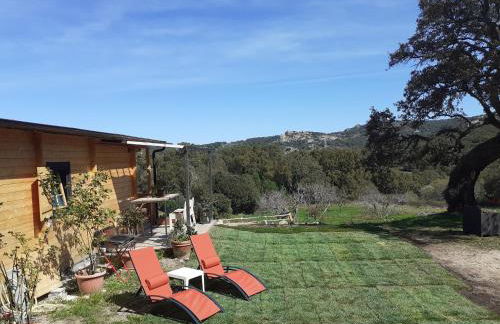 Eco Lodge nella natura Con Piscina privata "La Grande Quercia" - Foto 23