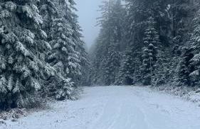 Ferienwohnung Fichtenblick - Foto 2