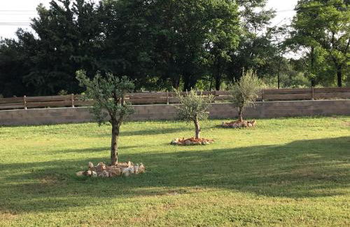 La Tour Des Quatre Chemins - Foto 25