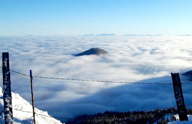 Alpengasthof Krische - Photo 48