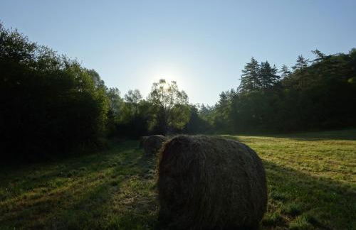 Les Gites Accromagnon, Climatisation - Photo 24