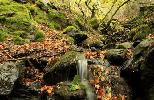 Casa rural El Abejaruco - Foto 49