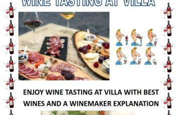 Villa das Palmeiras - Foto 59