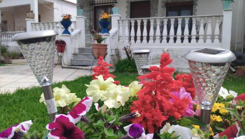 Dolphin Paradise Sozopoli - Foto 4, Garden, Garden view