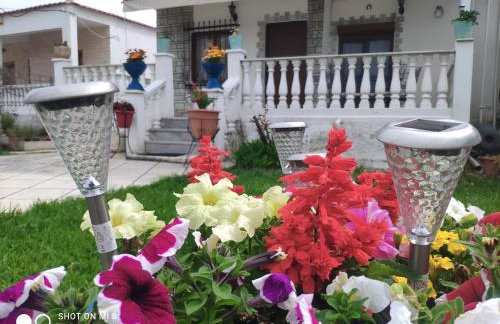 Dolphin Paradise Sozopoli - Foto 4