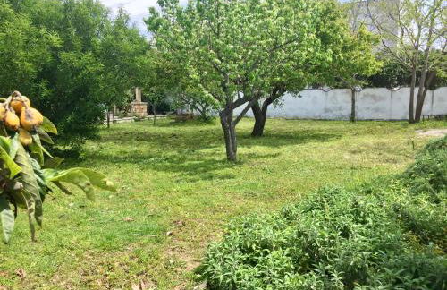 Salento Appartamenti - Foto 71