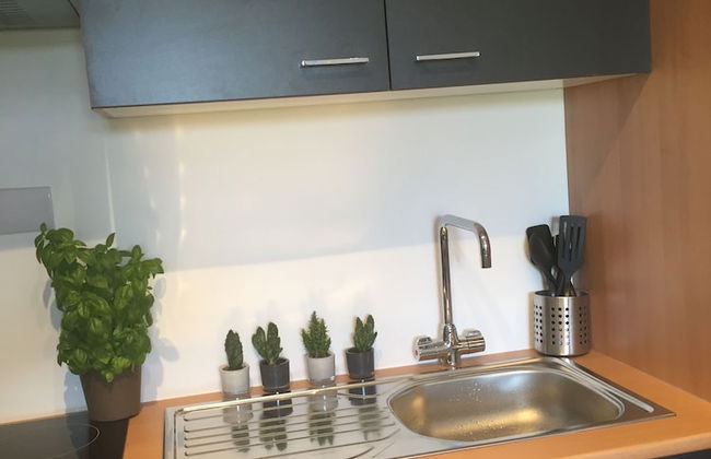 Willow Court Farm - Foto 64