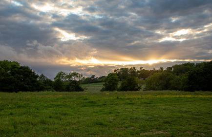 Beautiful 1 bed Glamping pod in Battle - Photo 14