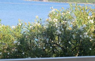 I&J Relaxing Beach Apartments - Foto 73