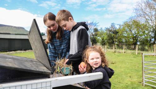 GlenHaven Holiday Accommodation - Photo 3