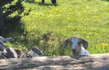 Agroturystyka nad stawami - Foto 25