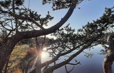 Ferienwohnung Sole Della Sera - Foto 20