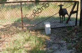 Casa Sardão - Foto 43