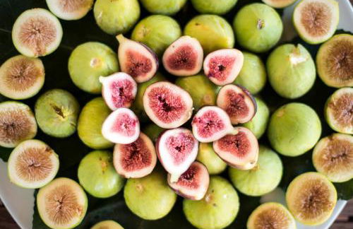 Herdade das Barradas da Serra - Foto 52