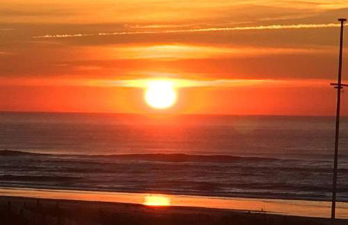 Ma cabane sous les arbres - Foto 70