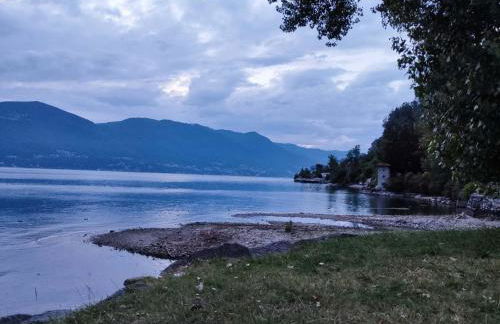 Natura tra bosco e lago - Foto 59