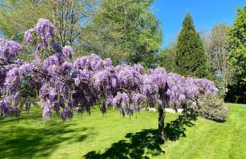 Villa Giulia - Argentera - Foto 55