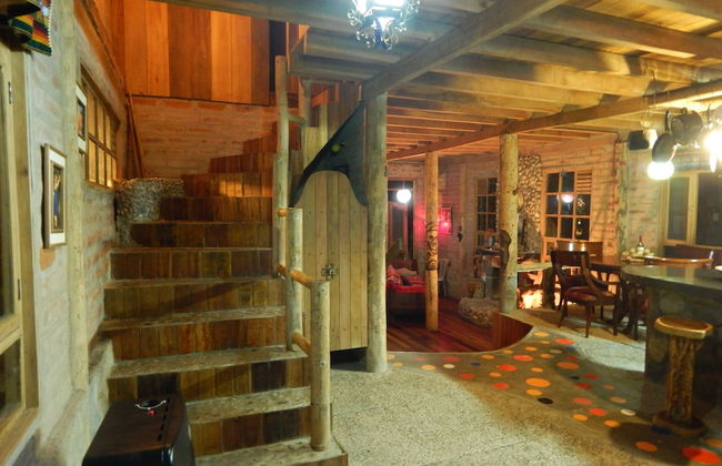 Dogs and Fish Dream Land - Foto 12