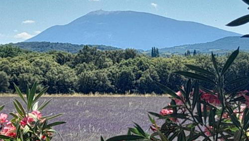 les-cles-de-saint-pierre - Foto 5