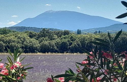 les-cles-de-saint-pierre - Foto 5