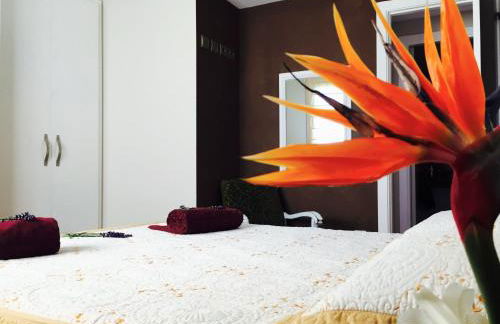 Lo Raconet - Foto 18