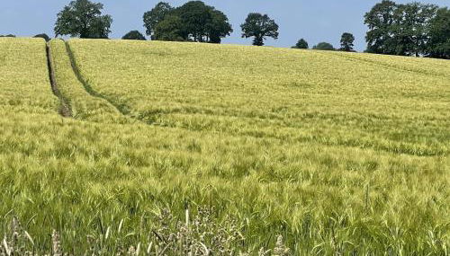 Lakeside Comfort with Balcony - Foto 3, Other