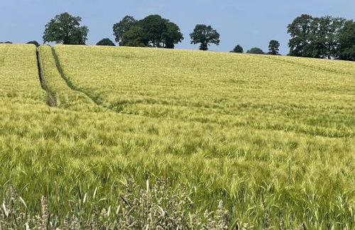 Lakeside Comfort with Balcony - Foto 3