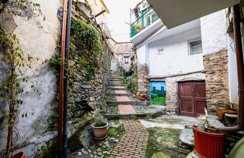 La Casa della Musica - Foto 21