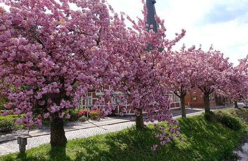 Ferienwohnung Rudis Obstgarten - Foto 14