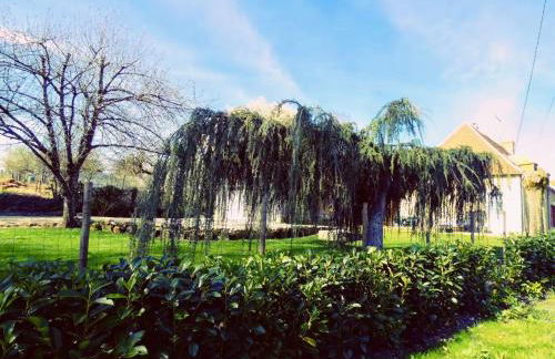 Gîte paisible près de l'Indre, proche de la nature, 2 chambres - FR-1-591-750 - Foto 14
