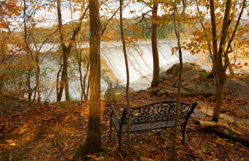 Studio Apt on HRT hosted by Longview Stays - Foto 24