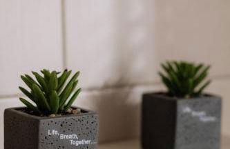 Xenia Serenity - Foto 15