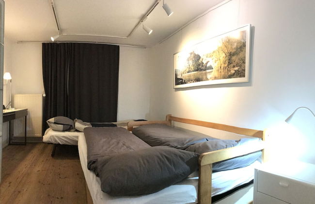 Natur pur in den Amperauen - Photo 5