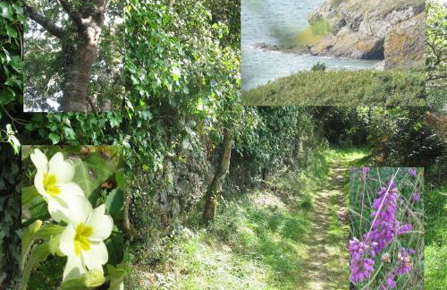 Maison sur la Presqu'île de Plougastel - Foto 16