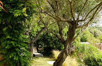 Auberge de l'Oumède - Foto 40