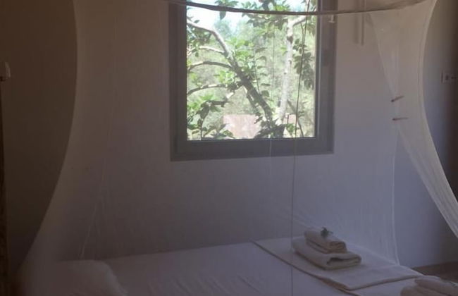 Biovilla Sustentabilidade - Foto 15