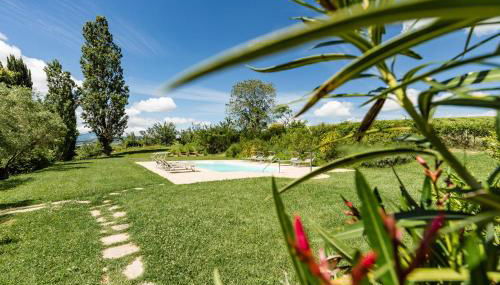 Villa Uliveto - Foto 5, Garden