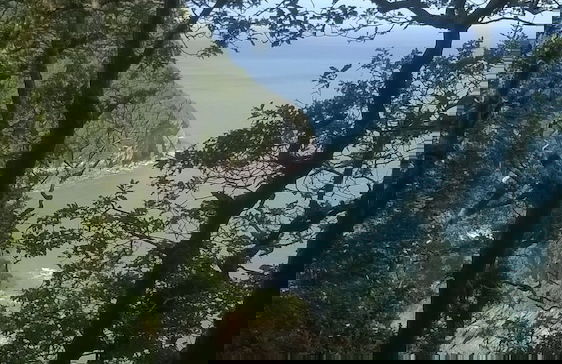 The Gallery Lodges - Foto 11