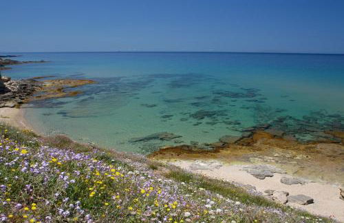 Sogno di Rena - Foto 54