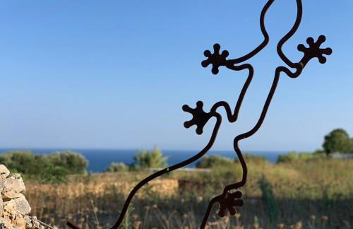 The Sunflower - Foto 52