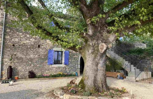 A l'Ombre des Tilleuls - Foto 7