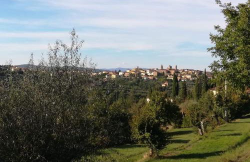 Casolare il Moro - Foto 33