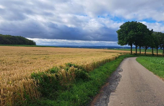 Holiday Home in Limburg Near Cafe 't Weverke - Photo 26