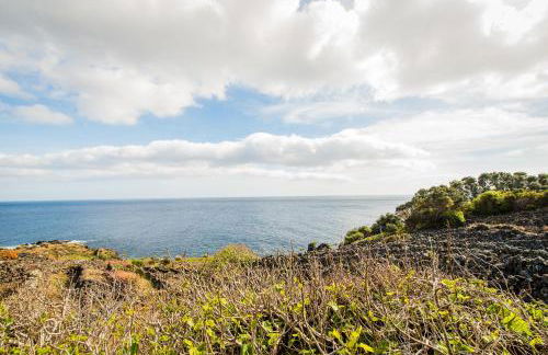 Adega Velha - Photo 21