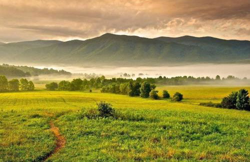 Peaceful Smoky Treehouse| Hot Tub • Hammock • Deck - Foto 39