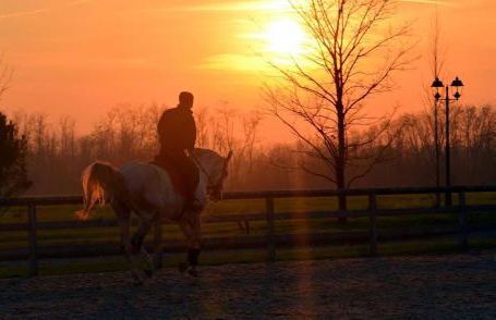 Agriturismo Il Boschetto - Foto 71