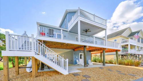 Coastal Crab - Foto 5