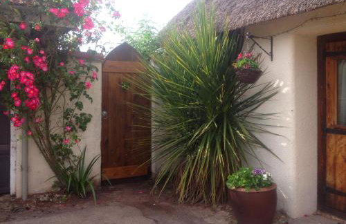 The Nest - Thatched seaside country cottage for two - Foto 28